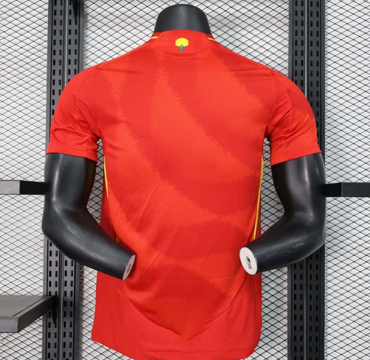 Spain home 2024