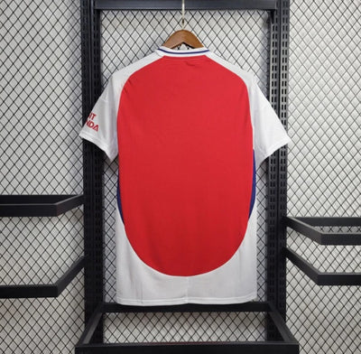 Arsenal home 2024-25