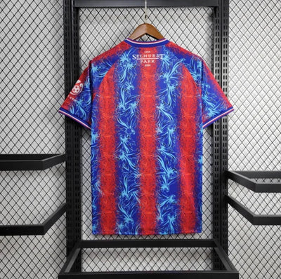 Crystal palace home 2024-25